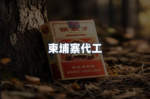 柬埔寨代工